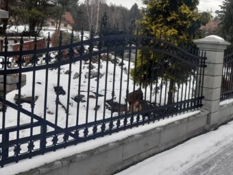 Ogrodzenie ozdobne kute OK 052